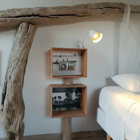 Casa Vella Del Panta Εξοχικό σπίτι Riudecanyes